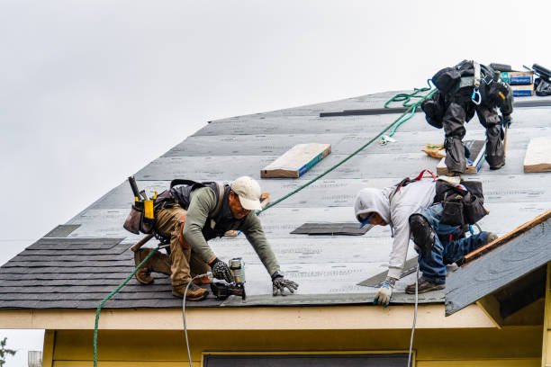 Professional Storm Damage Roof Repair technician working in Swanville, MN